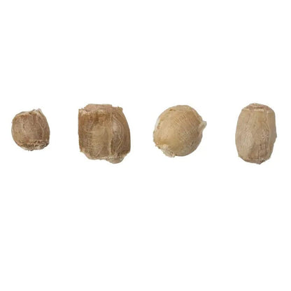 Beef Bully Puffs Dog Treats (8 oz Bag) – Plain or Smoked