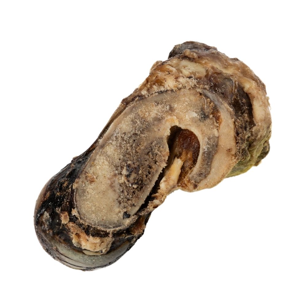 Beef Saddle Knuckle – All-Natural, Long-Lasting Dog Chews (5-Count)