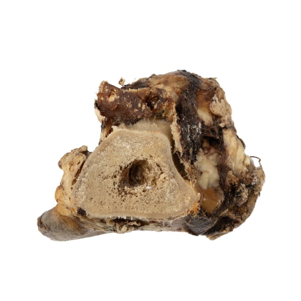 Beef Saddle Knuckle – All-Natural, Long-Lasting Dog Chews (5-Count)