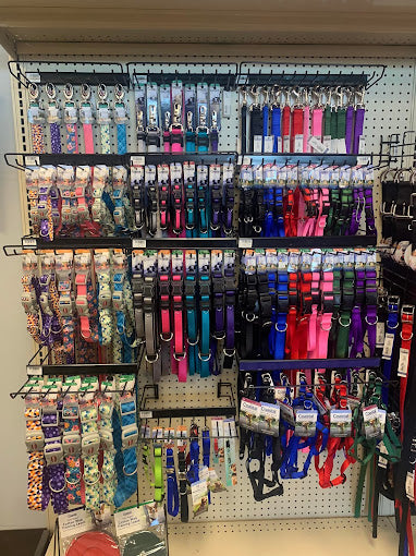 bfrwa.jpeg__PID:11570d47-ece6-4bdd-a3ec-a73a3f91d09a