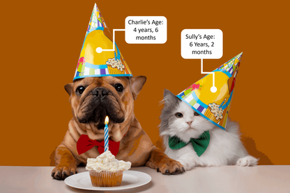 Pet Age Diagnostic Test