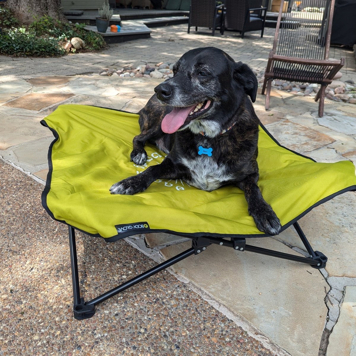 Body Glove Fold & Go Pet Cot