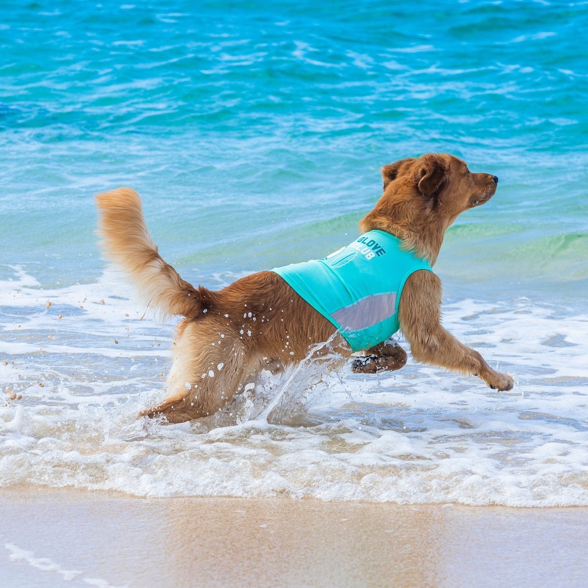 Body Glove Pet Sun Shirt