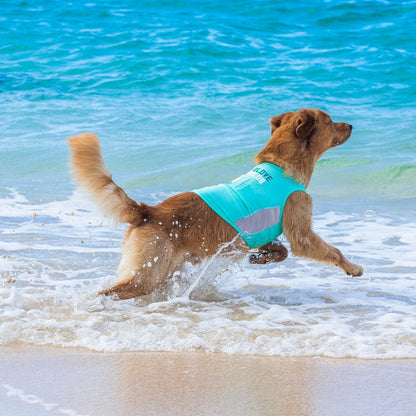 Body Glove Pet Sun Shirt