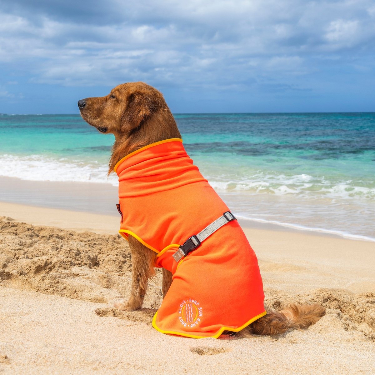 Body Glove Surf Pet Towel Robe