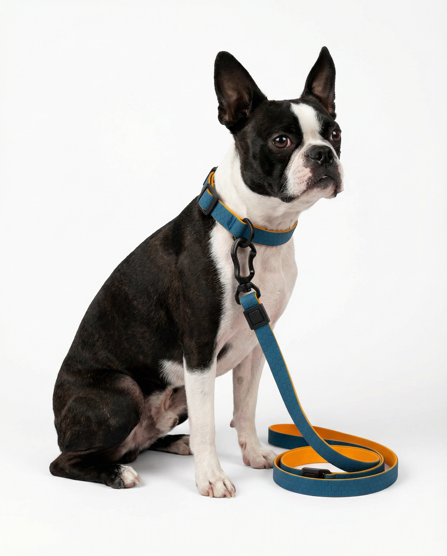 Hexagon Leash - Waterproof Leash for Small Dogs