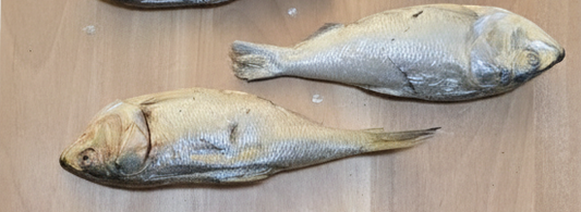 Freeze-Dried Menhaden (Medium)