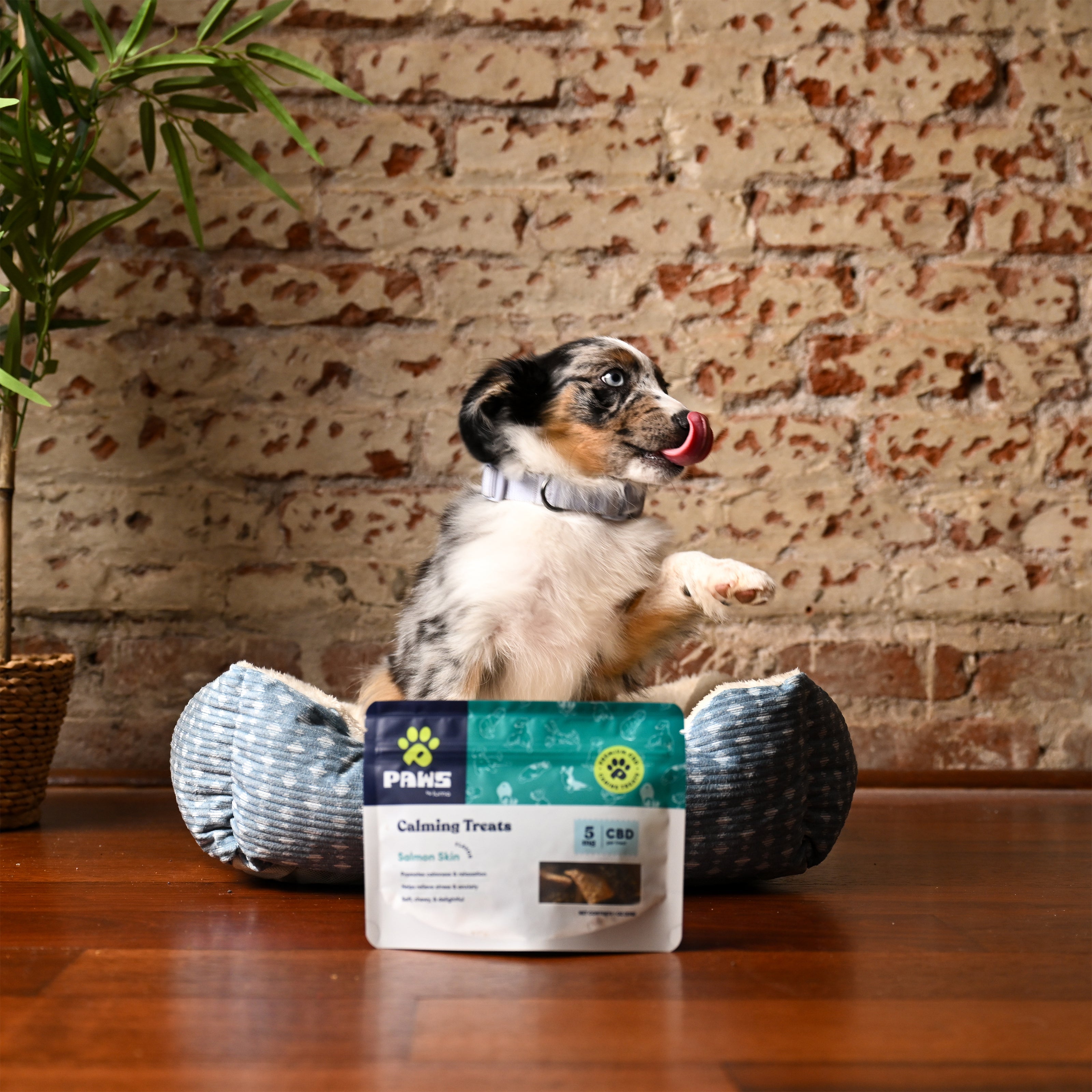 Calming Salmon Skins | Dog & Cat Treats