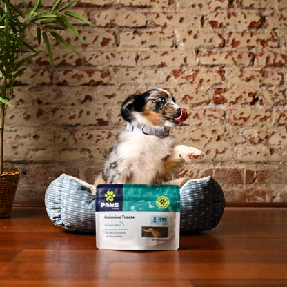 Calming Salmon Skins | Dog & Cat Treats