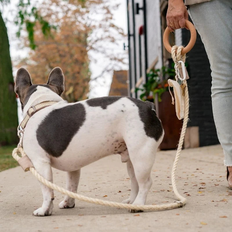 Carbon Neutral Eco Friendly Dog Leash with Small Storage Bag