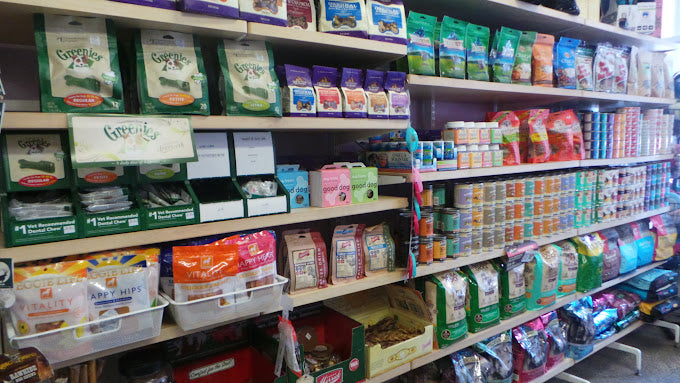 Paws In Paradise NYC