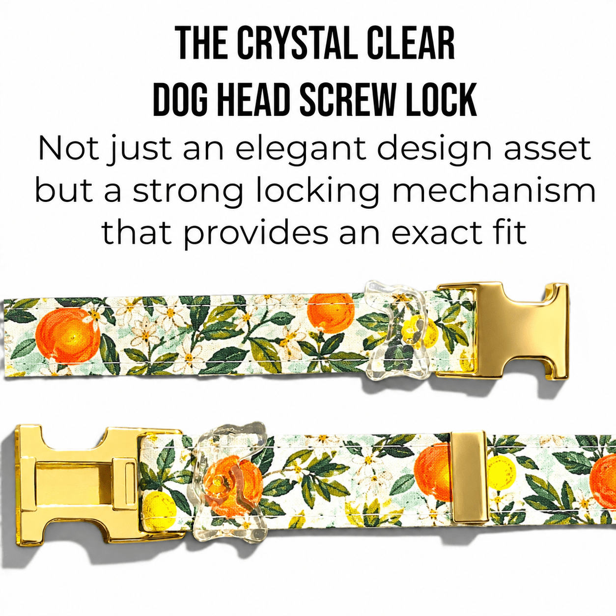 Classic Collar - Citrus Grove - Gold Hardware
