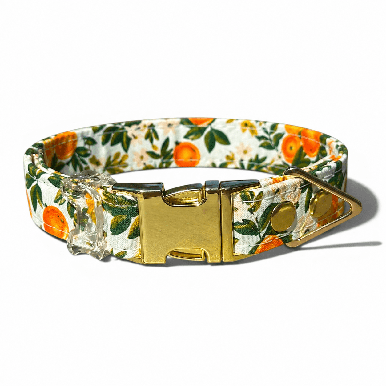 Classic Collar - Citrus Grove - Gold Hardware