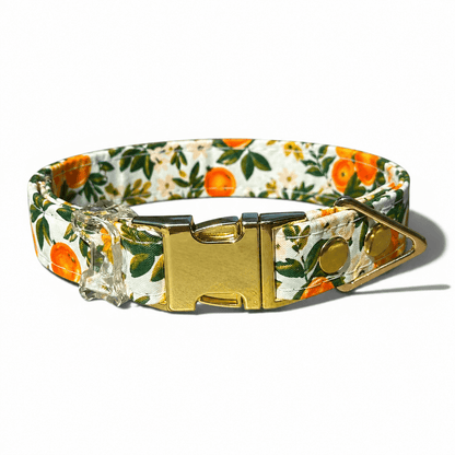 Classic Collar - Citrus Grove - Gold Hardware
