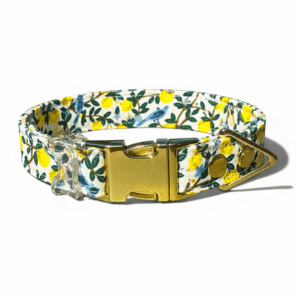 Classic Collar - Lemon Grove - Gold Hardware