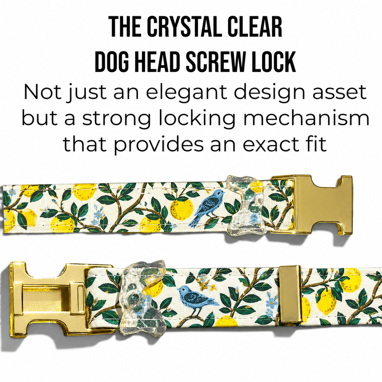 Classic Collar - Lemon Grove - Gold Hardware
