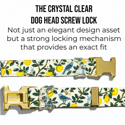 Classic Collar - Lemon Grove - Gold Hardware