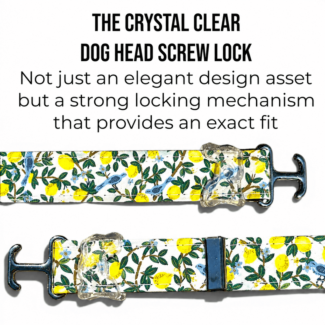 Classic Collar - Lemon Grove - Silver Hardware