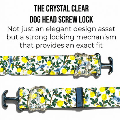 Classic Collar - Lemon Grove - Silver Hardware