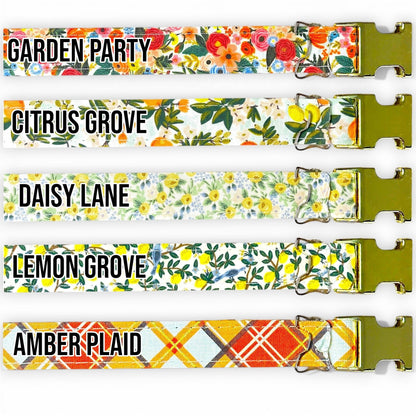 Classic Fi-Compatible Dog Collar