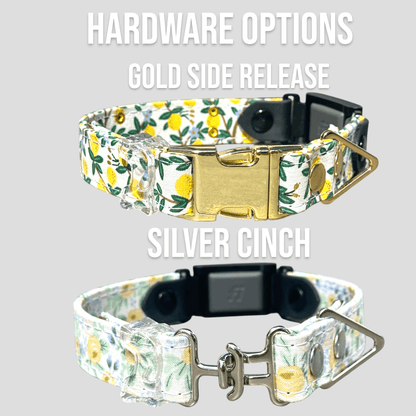 Classic Fi-Compatible Dog Collar