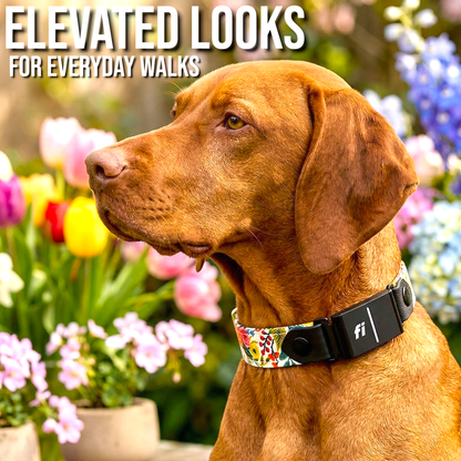Classic Fi-Compatible Dog Collar - Fi GPS Included