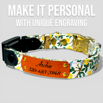Classic Fi-Compatible Dog Collar - Fi GPS Included