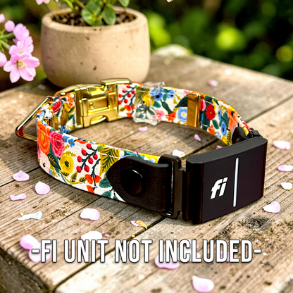 Classic Fi-Compatible Dog Collar