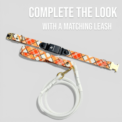 Classic Fi-Compatible Dog Collar