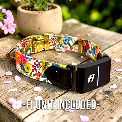 Classic Fi-Compatible Dog Collar - Fi GPS Included