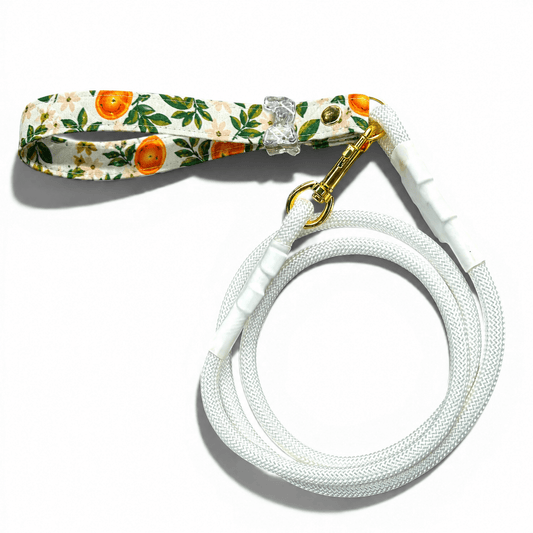 Classic Leash - Citrus Grove
