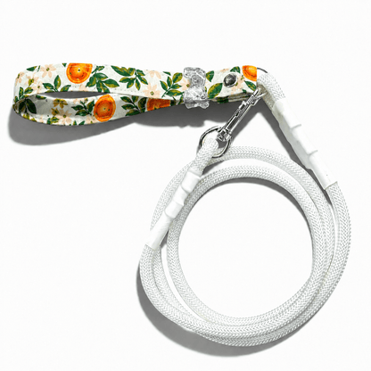 Classic Leash - Citrus Grove - hundhaus.dog