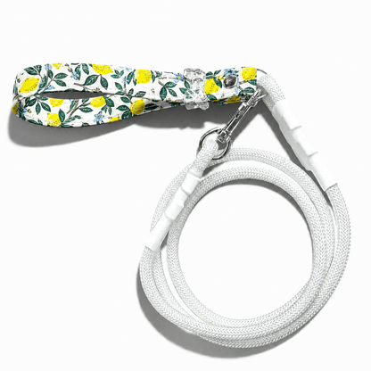 Classic Leash - Lemon Grove - hundhaus.dog