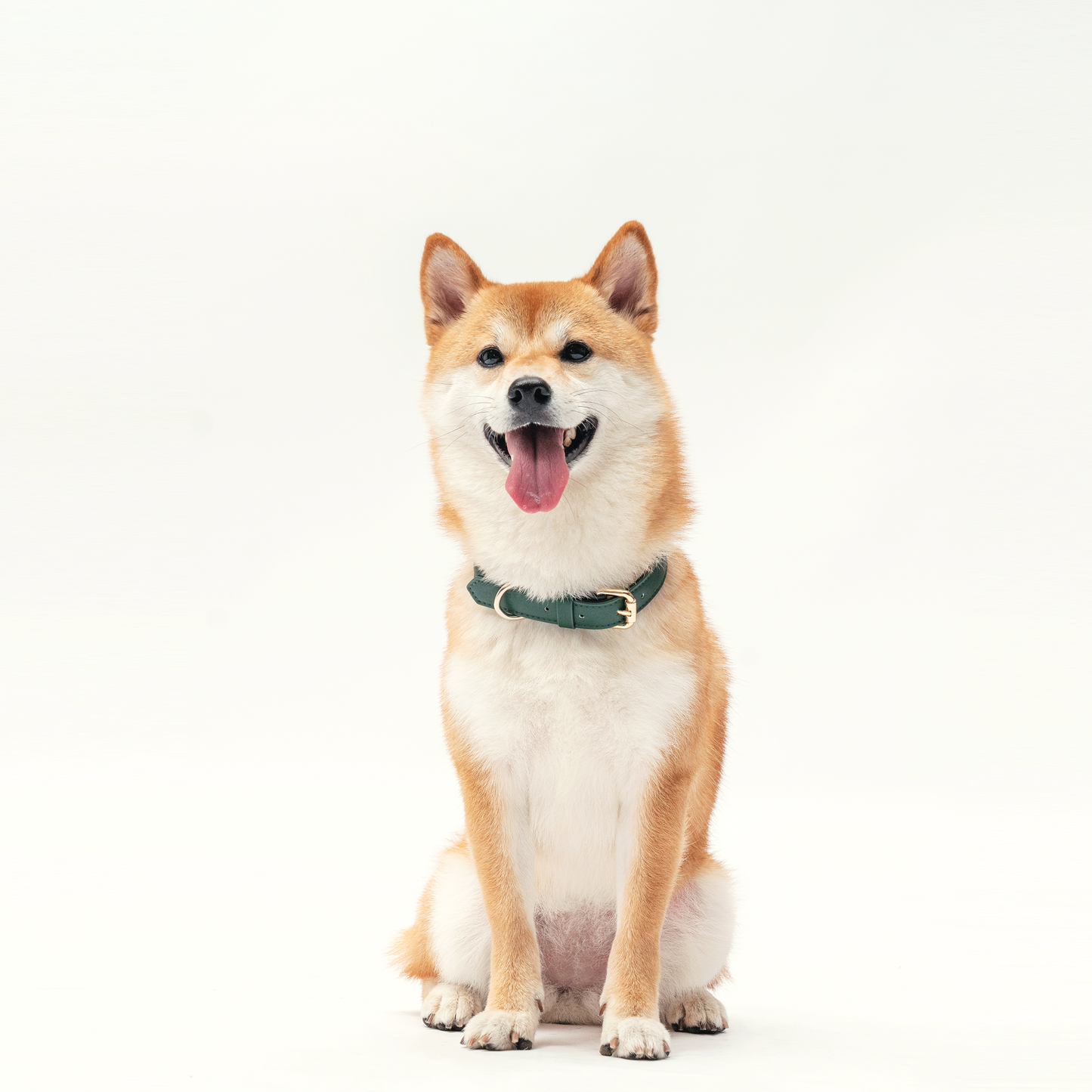 Collar - Forest Green