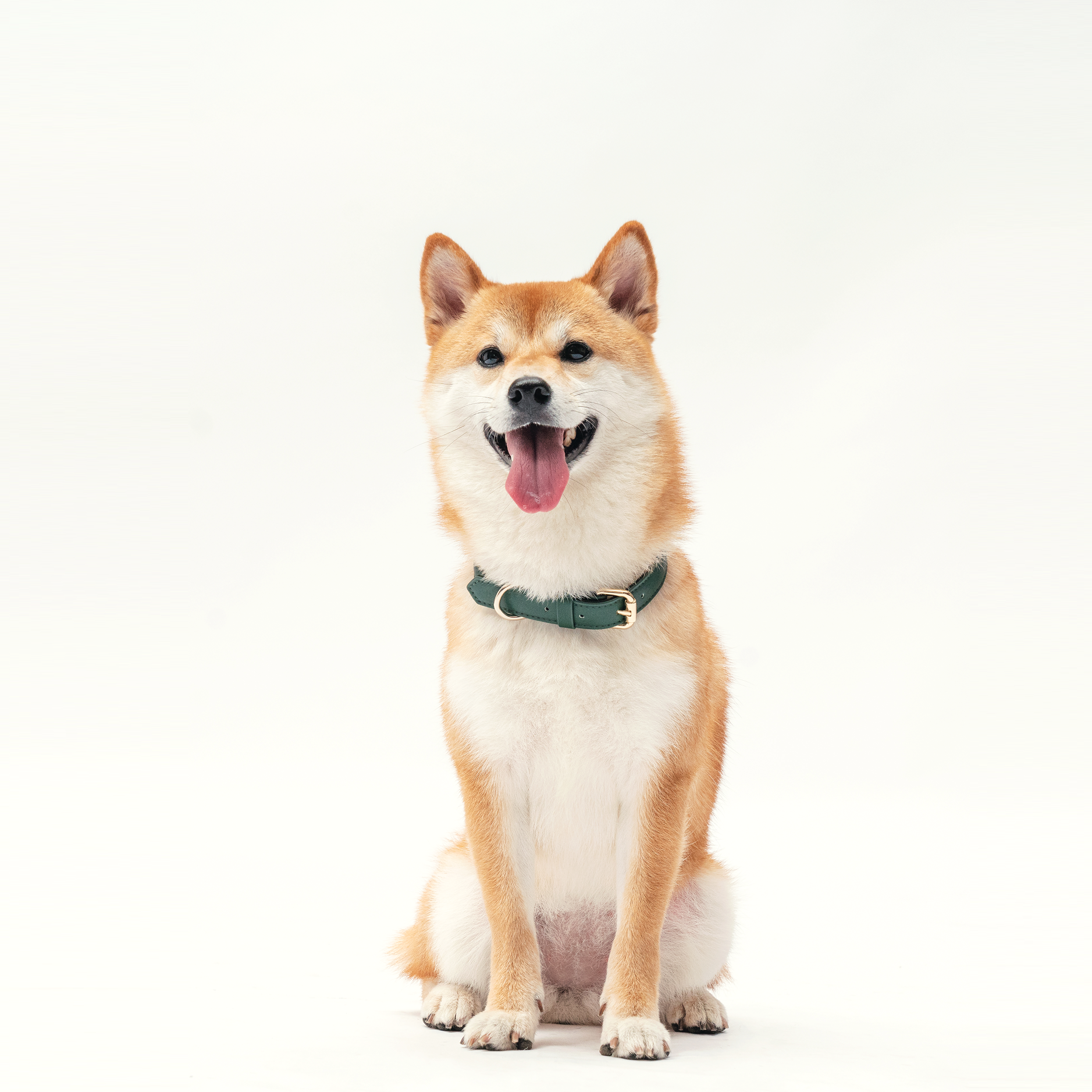 Collar - Forest Green