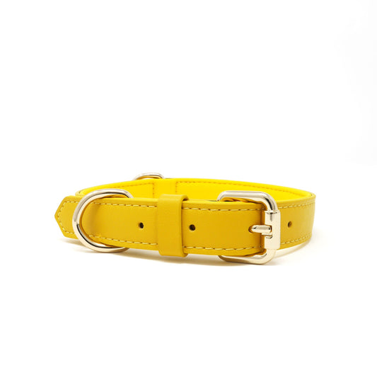 Collar - Bumblebee Yellow