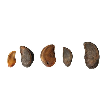 Cow Hoof Dog Chews | Natural Long-Lasting Dog Chews