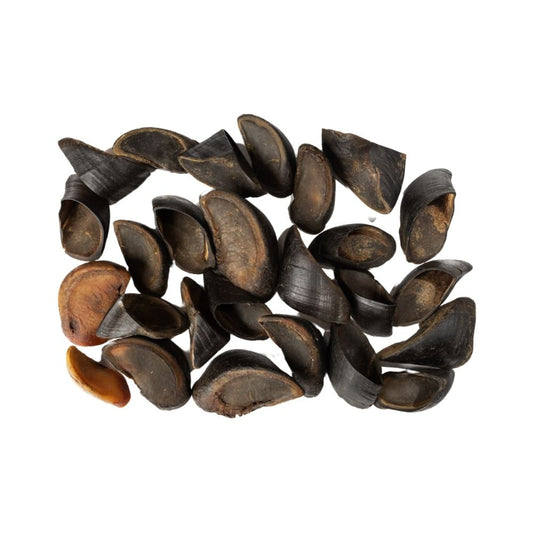 Cow Horn Dog Chews – All-Natural, Long-Lasting Dog Treats (25-Count)