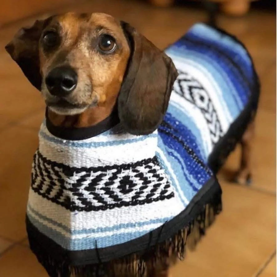 Dog Poncho/Zarape (12pcs.) No Fur! Sin Borrega!