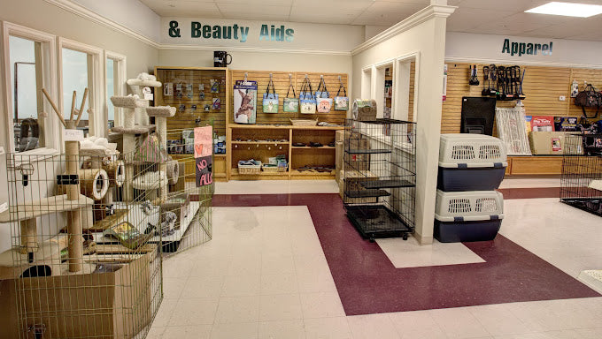 All About Dogs & Cats