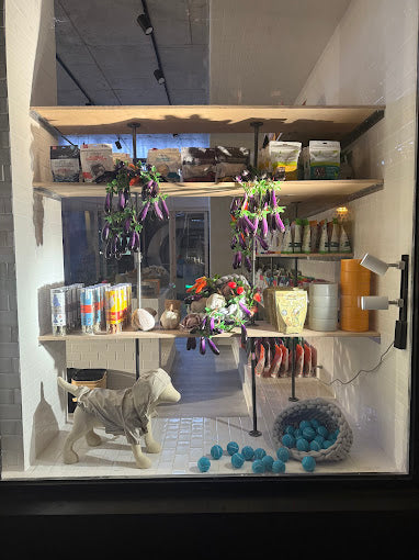 Now You're Clean - Williamsburg