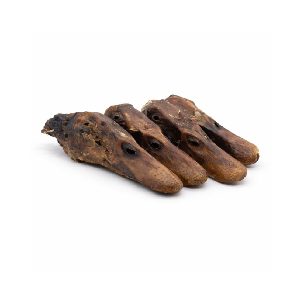 Dehydrated Duck Heads for Dogs – Crunchy Natural Chew Treats (30-Pack)