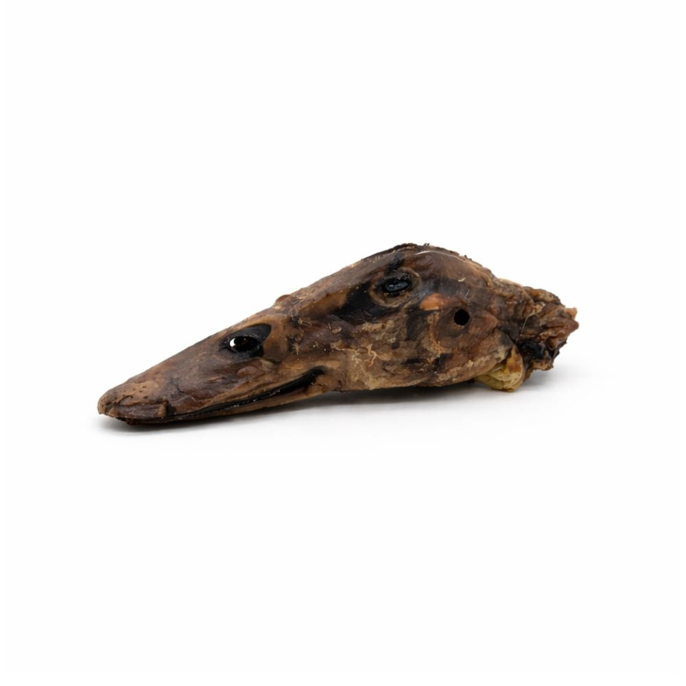 Dehydrated Duck Heads for Dogs – Crunchy Natural Chew Treats (30-Pack)