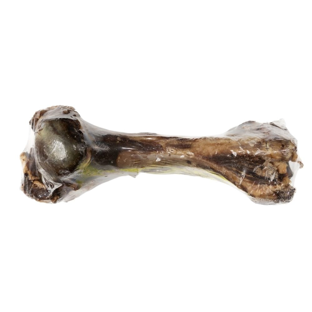 Dino Beef Bone Dog Treat - Natural Long-Lasting Chew (1-Count)