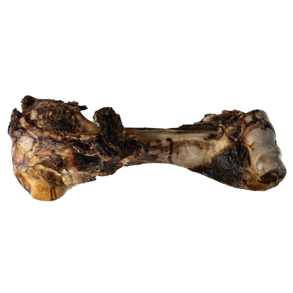 Dino Beef Bone Dog Treat - Natural Long-Lasting Chew (1-Count)