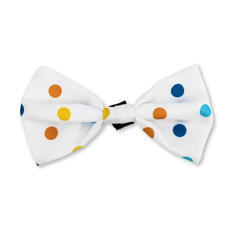4-Piece Dog Birthday Kit: Bandana, Hat, Bow Tie, Plush Toy (4-Pack on Clip Strip)