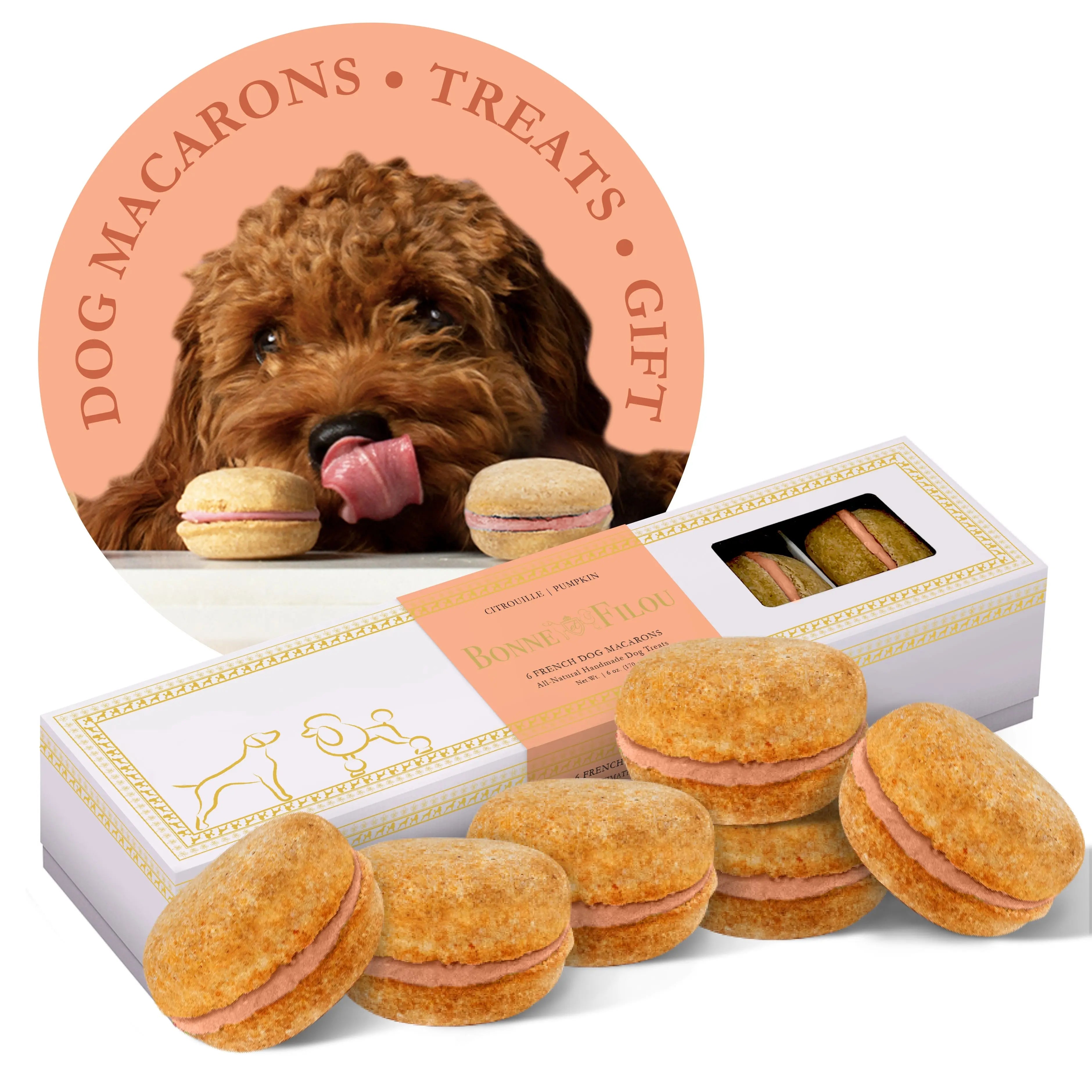 Six-count pumpkin-flavored dog macarons in premium packaging.
