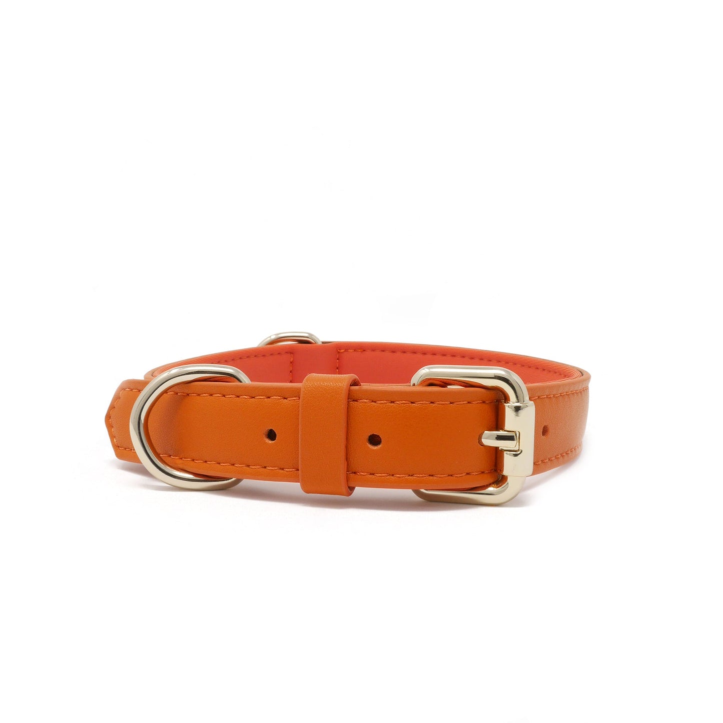 Collar - Tangerine Orange