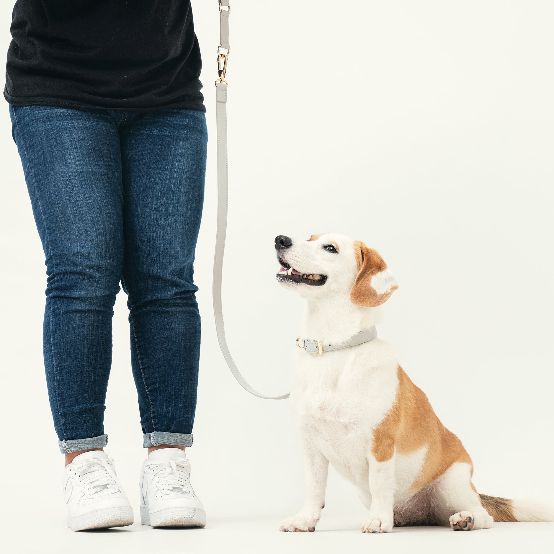 Classic Leash - Pearl Gray