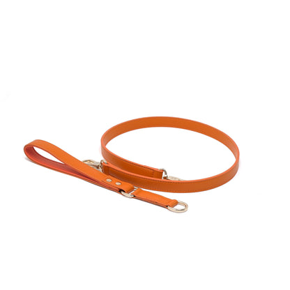 Classic Leash - Tangerine Orange